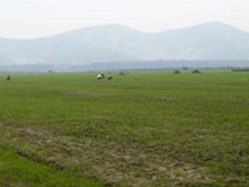 原料基地